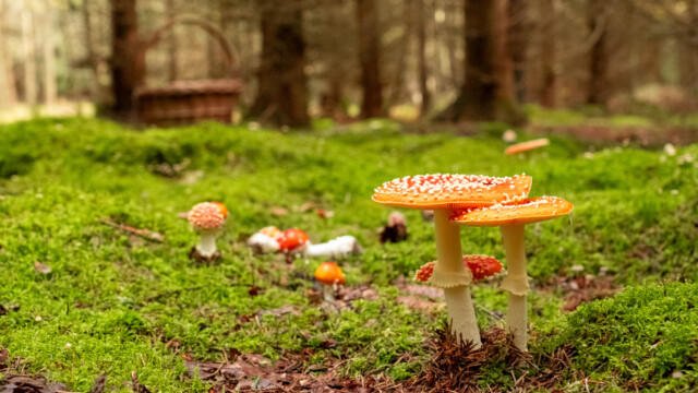 20241013-DSCF9734