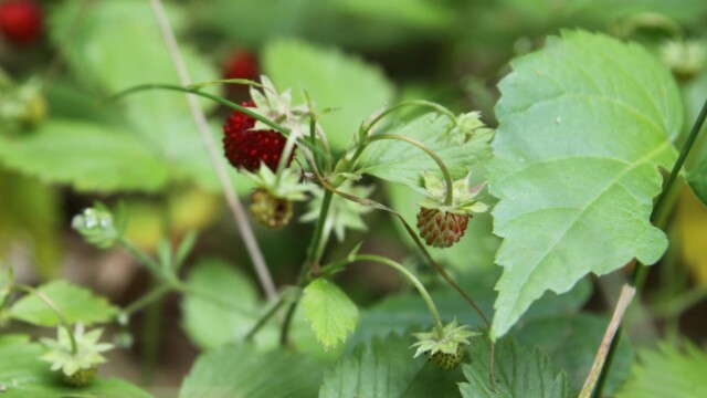 img-6536